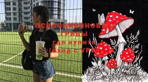 соль курить ск Алзамай